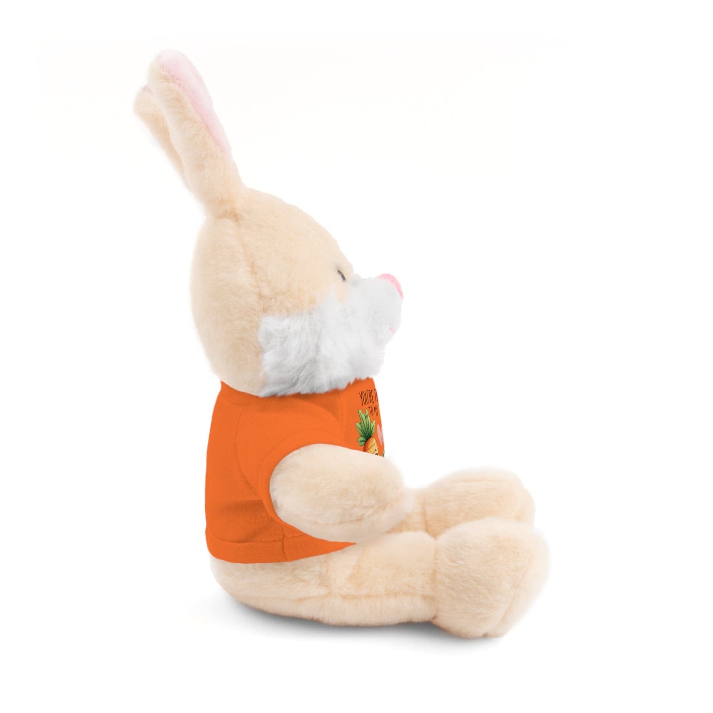 Huggable Valentine’s Day Plushies "Carrot To My Hummus"