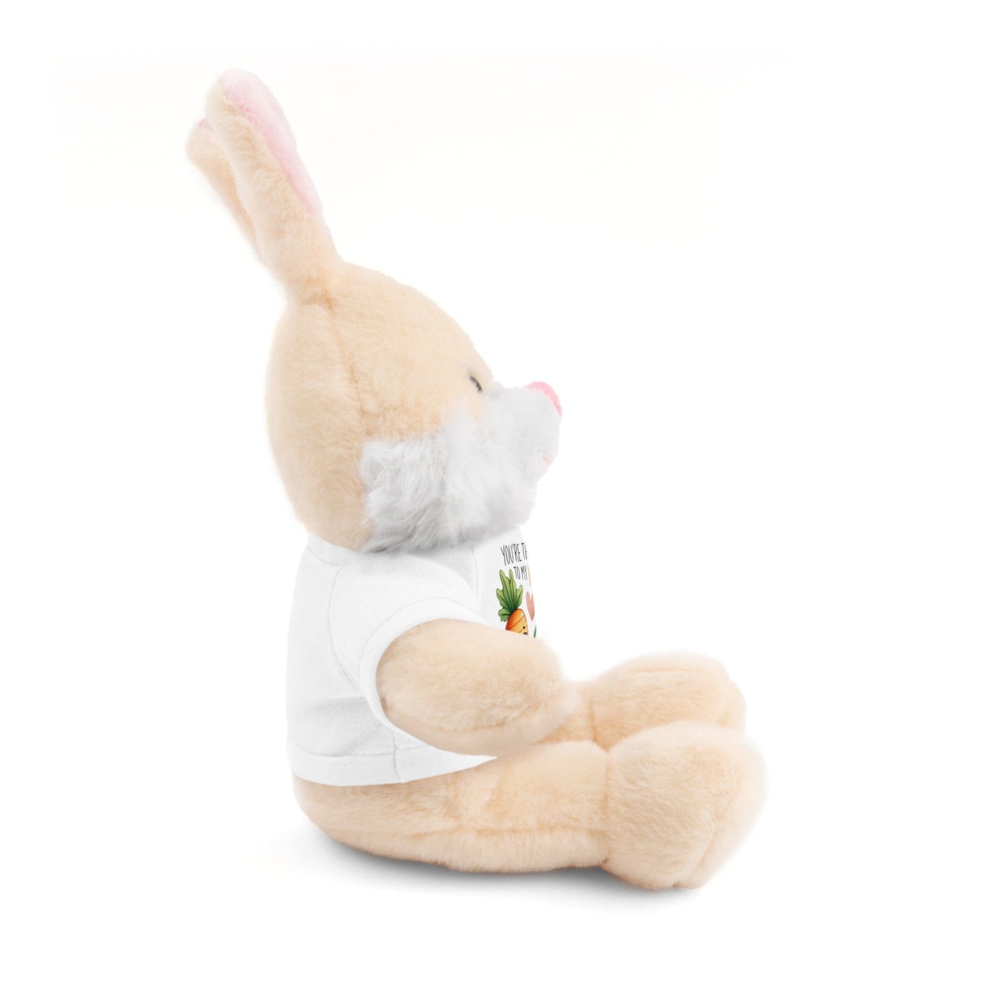 Huggable Valentine’s Day Plushies "Carrot To My Hummus"