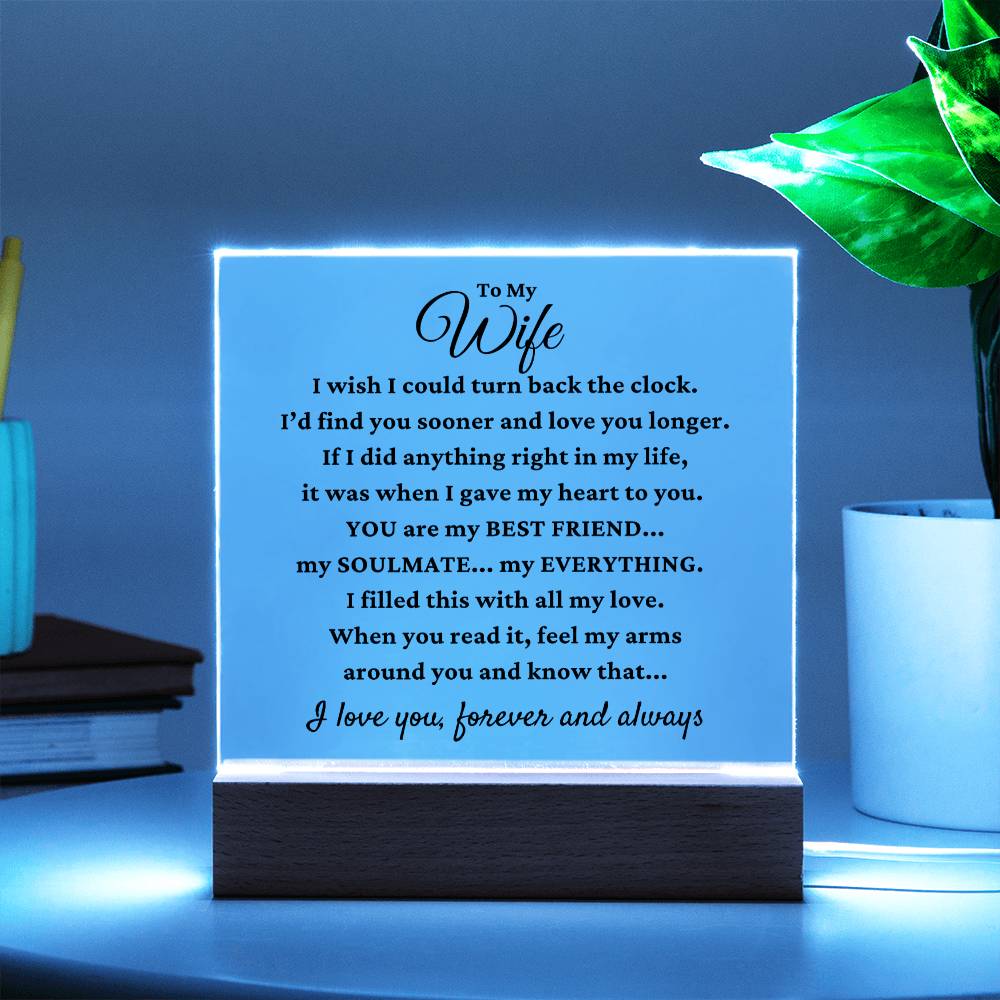 To My Wife "I Wish I Could.." Acrylic Plaque